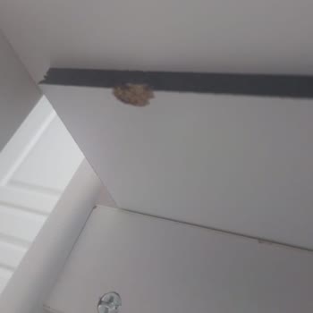 Ebebek Kusurlu Beşik Yollayıp Birebir Beşik Değişimi Olmaması