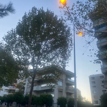 Bornova Belediyesi Sokak Lambasının Açık Oluşu
