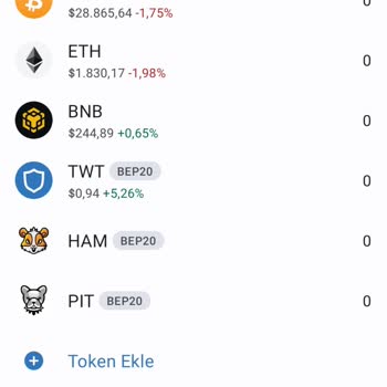 Trust Wallet Coinlerim Görünmüyor, Sıfır Görünüyor!