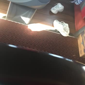 Malatya Zafer Turizm Muavin Çok Saygısız