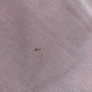 Philips Ev Aletleri Kazanlı Ütü Yakıyor Yapışıyor