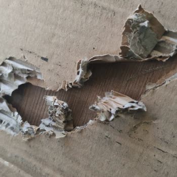 Vivense 2 Defa Hasarlı Ürün Geldi, Dönüş Yok, Cevap Yok