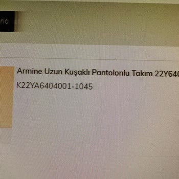 Armine Altüst Takım Aldığımız Ürünü Sadece Üst Gönderiyorlar.