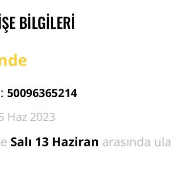 Stradivarius 2 Ay Ne Ürünü Gönderdi Ne De Paramı İade Etti!