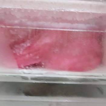 Dijitsu İade Etmek İstiyorum