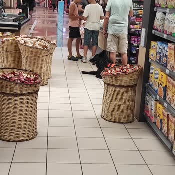 Carrefour SA Evcil Hayvan İle Alışveriş