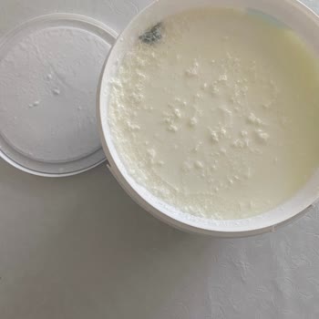 Torku Marka Küflenmiş Tarihi Geçmemiş Yoğurt