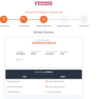 Horoz Lojistik Kargo Teslim Sorunu