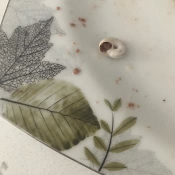 Hastel Gıda Hazır Kek İçinden Çıkan Cisim