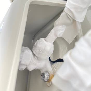 Samsung Ve Yetkili Servisinin Yarattığı Mağduriyet