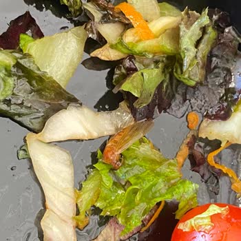 Tavuk Dünyası Salatadan Böcek Çıkması