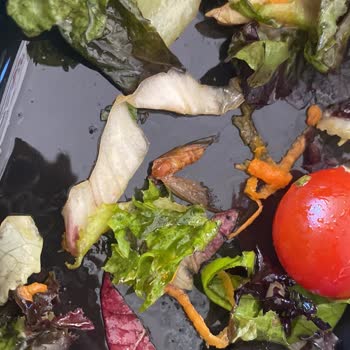 Tavuk Dünyası Salatadan Böcek Çıkması