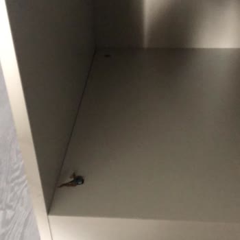 Enza Home Kırık Gelen Ve Geri Dönüş Sağlanmayan Mobilyalar!