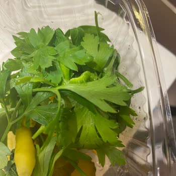 Tadım Tantuni Yemeğin İçinden Çıkan Böcek