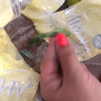 Akmina Maden Suyundan Çıkan Cam Parçaları