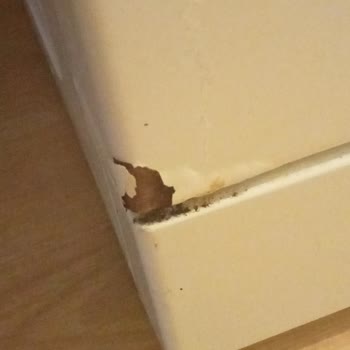 Arçelik Makinemin Dışında Dökülme Paslanma Oldu