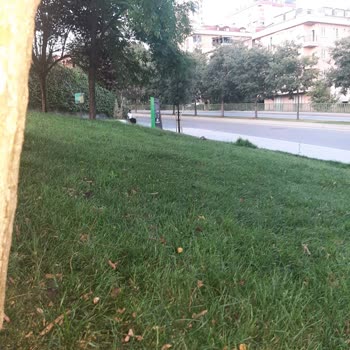 İBB - İstanbul Büyükşehir Belediyesi Çocuk Parkı Güvenliği