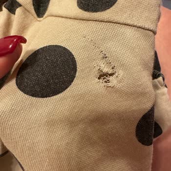 Disappointment With Poor Quality Product At Mango Online