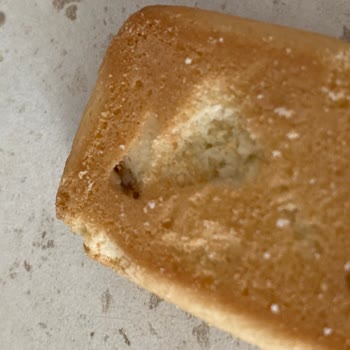 Eti Gıda Cici Bebenin İçinde Kurt Olması