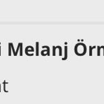 U. S. Polo Assn. Yanlış Beden Gönderimi