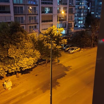 Mamak Belediyesi İlaçlama Ve Bakım Yetersizliği