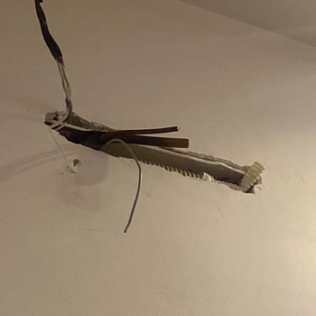 Vestel Yetkili Servis Mağduriyeti