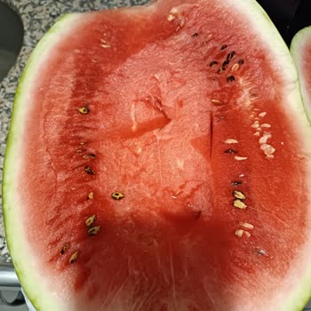 Migros Tatsız Karpuz Hiç Tadı Yok