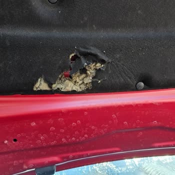 Peugeot Turkiye / 2008 Gt