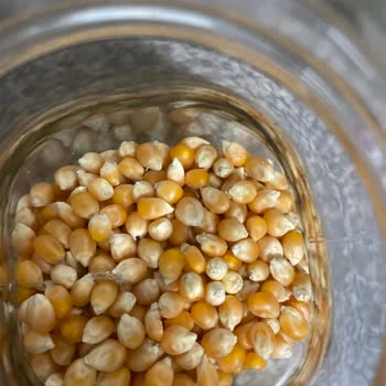 Anadolu Mutfağı Cin Mısırının İçinden Böcek Çıktı