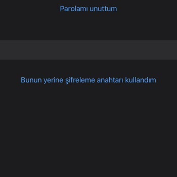 İPhone'da WhatsApp Yedeği Yükleyememe