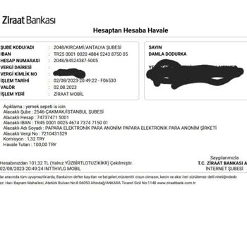 Yemeksepeti Ve Papara Elektronik Para