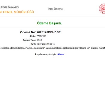 İhlali Geçişin Ertesi Gün KGM Sayfasında Gözükmemesi Ve Yediğim Ceza