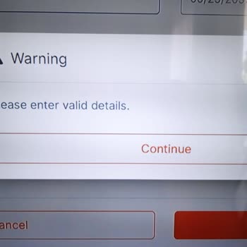 VFS Global Litvanya "please ENTER İnvalid Details" Sorunu