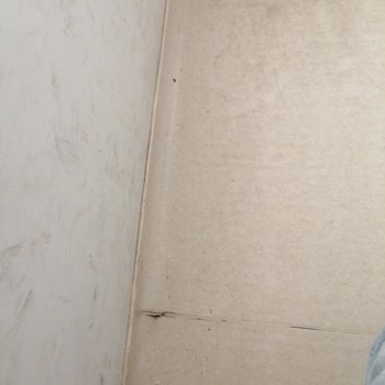 Gebze Fatih Devlet Hastanesi'nde Hijyen Sorunu