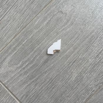 Yataş Ve Horoz Lojistik Servis Sorunu