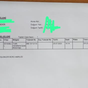 Bindiğimiz Martı Tag Aracı Bağlandı. Bana 1353 Lira Ceza Kesildi.