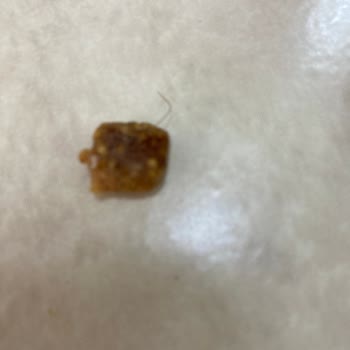 BİM Kellys Kıl Çıktı