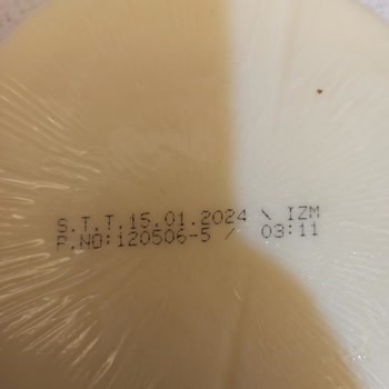 Pınar Et ve Süt Tost Peyniri De Küf