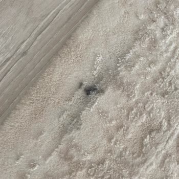 Bursa Beko Heykel Servisi