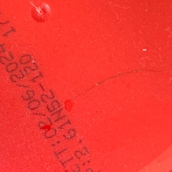 Fiskobirlik Fiskorella Kıl Çıktı