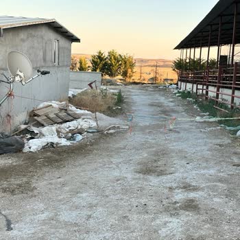 Eser Telekom İnternet Kesintisi ve Hatalı Montaj