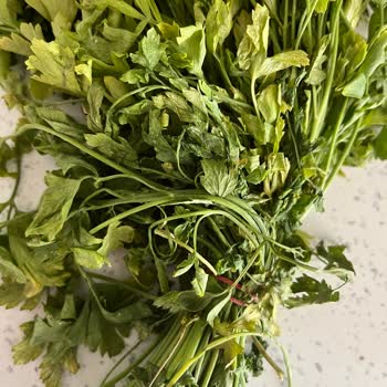 Şok Marketler Çürük Ürün Ücret İadesi