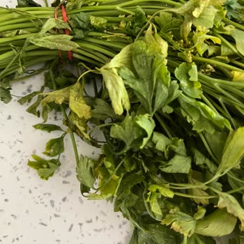 Şok Marketler Çürük Ürün Ücret İadesi