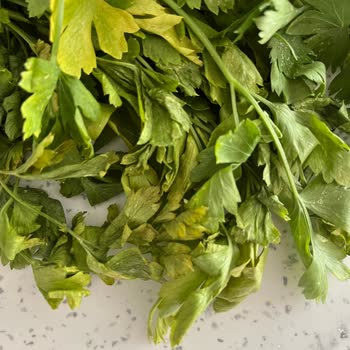 Şok Marketler Çürük Ürün Ücret İadesi