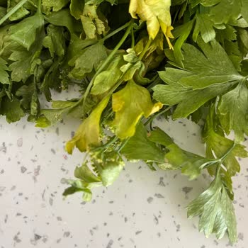 Şok Marketler Çürük Ürün Ücret İadesi