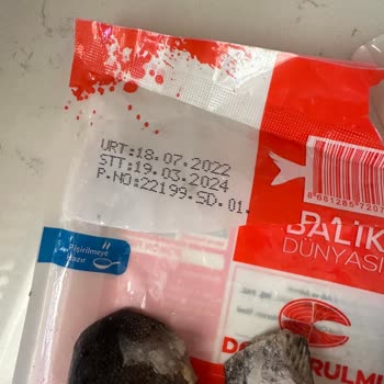 Balık Dünyası Somon Balığının Garip Rengi