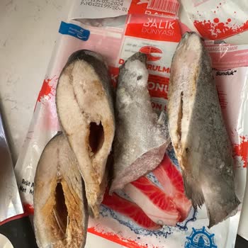 Balık Dünyası Somon Balığının Garip Rengi