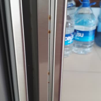 Bosch Buzdolabım Paslandı