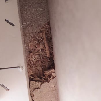 Doğtaş Mobilya Koltuk Kırık Tamir Edilmiş Şekilde Geldi