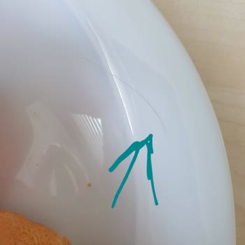 Burger King Siparişimden Kıl Çıktı